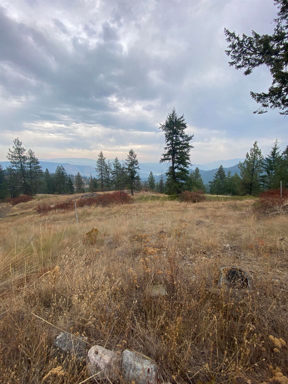 34 Peace Ridge Way, Kettle Falls, WA 99141 photo 22