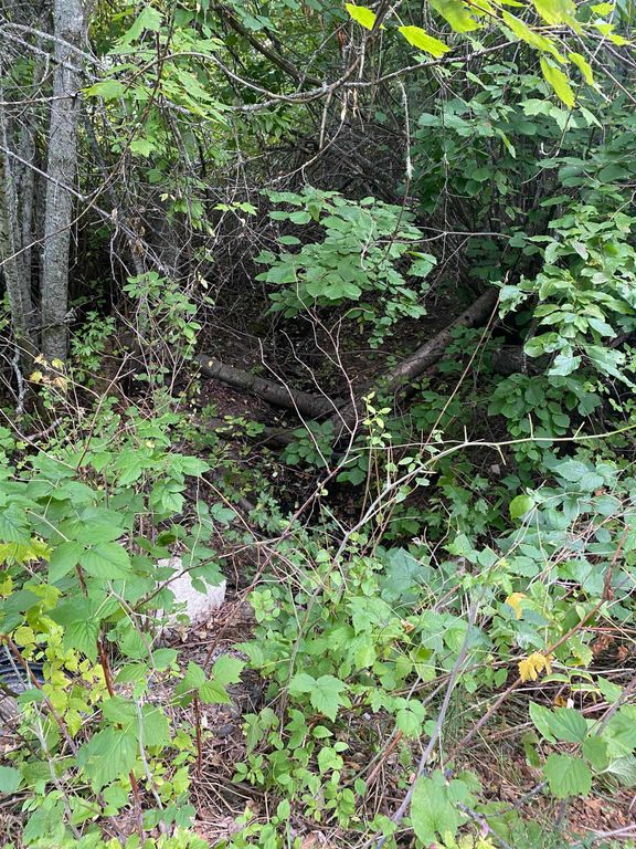 34 Peace Ridge Way, Kettle Falls, WA 99141 photo 6