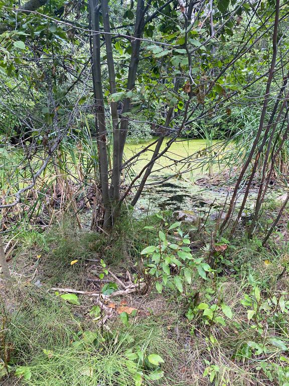 34 Peace Ridge Way, Kettle Falls, WA 99141 photo 7