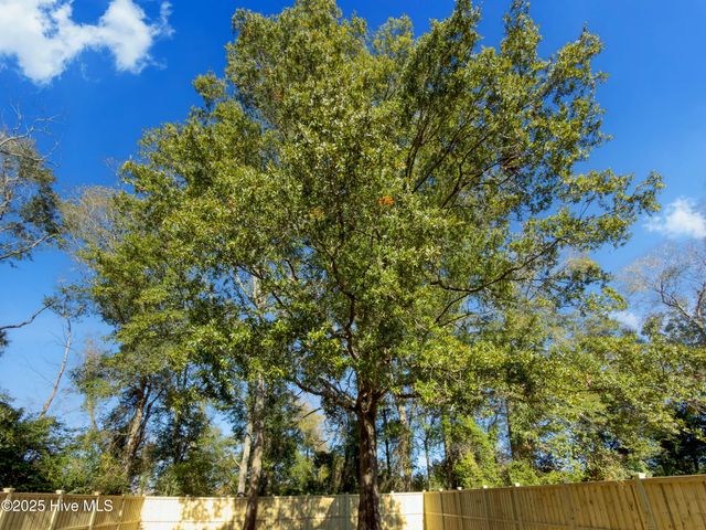 409 Wright Street, Wilmington, NC 28401