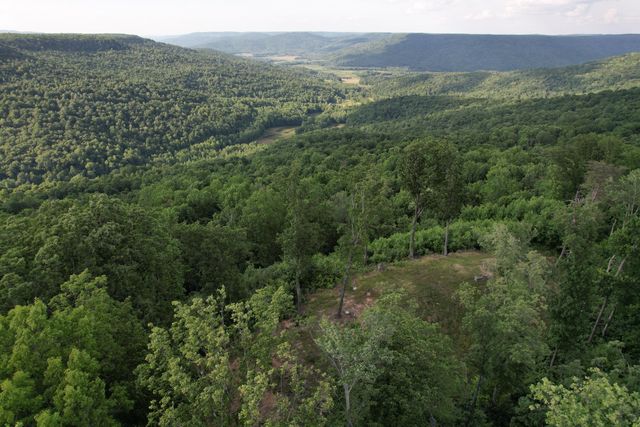 309 Blackberry Road, Beersheba Springs, TN 37305
