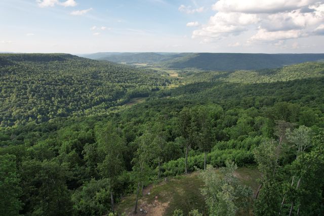309 Blackberry Road, Beersheba Springs, TN 37305