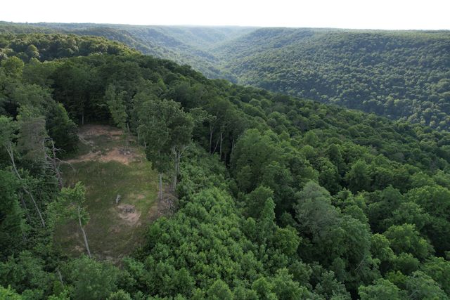 309 Blackberry Road, Beersheba Springs, TN 37305