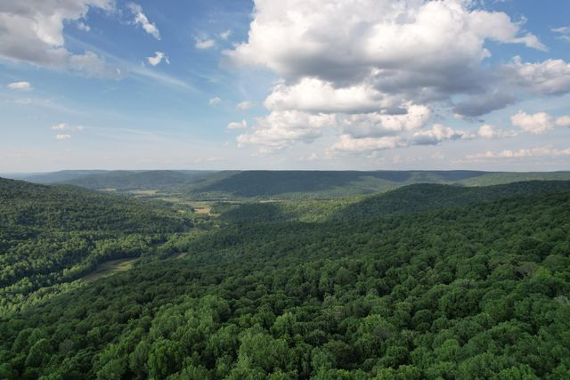 309 Blackberry Road, Beersheba Springs, TN 37305