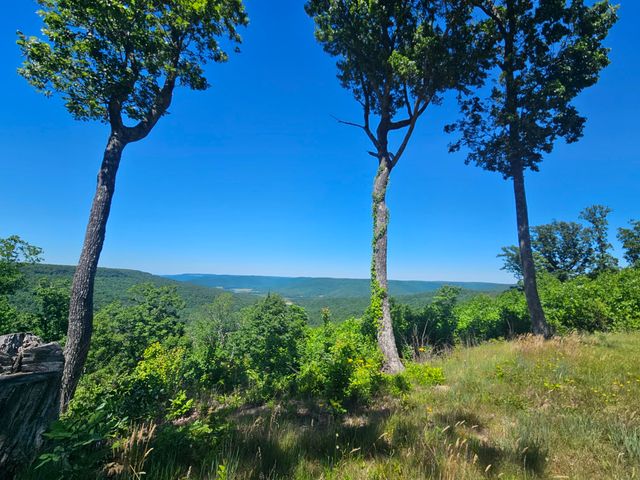 309 Blackberry Road, Beersheba Springs, TN 37305