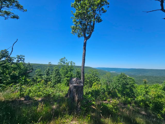 309 Blackberry Road, Beersheba Springs, TN 37305