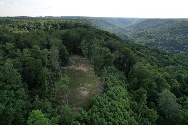 309 Blackberry Road, Beersheba Springs, TN 37305