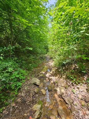 309 Blackberry Road, Beersheba Springs, TN 37305