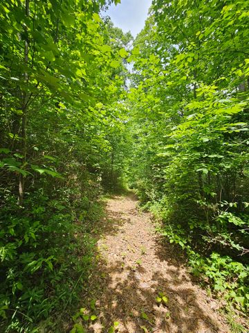 309 Blackberry Road, Beersheba Springs, TN 37305