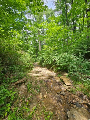 309 Blackberry Road, Beersheba Springs, TN 37305