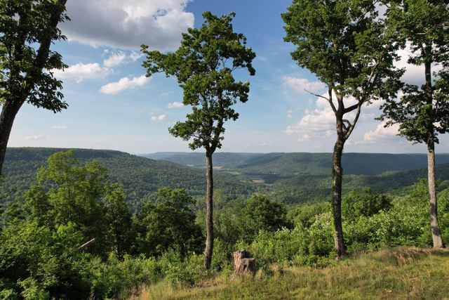 309 Blackberry Road, Beersheba Springs, TN 37305