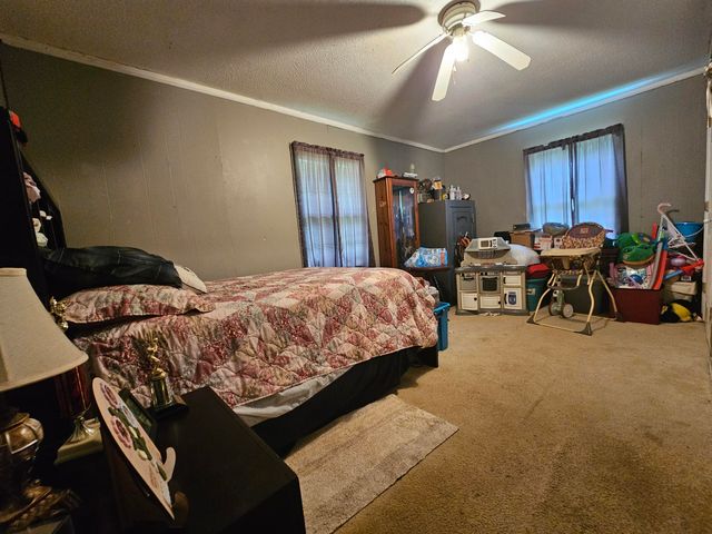 309 Blackberry Road, Beersheba Springs, TN 37305