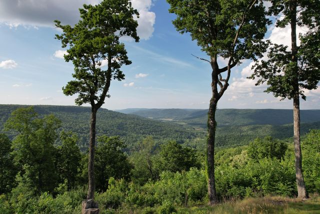 309 Blackberry Road, Beersheba Springs, TN 37305