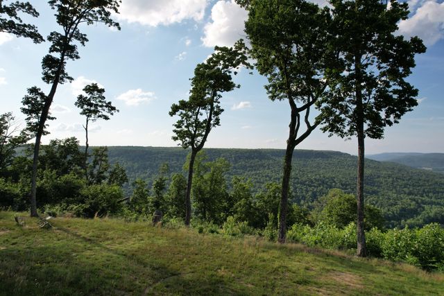 309 Blackberry Road, Beersheba Springs, TN 37305