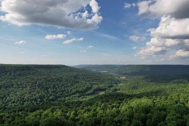 309 Blackberry Road, Beersheba Springs, TN 37305