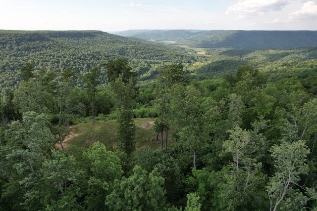 309 Blackberry Road, Beersheba Springs, TN 37305