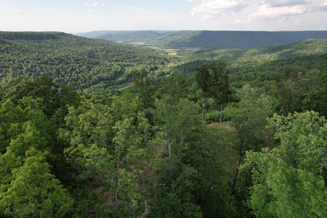 309 Blackberry Road, Beersheba Springs, TN 37305