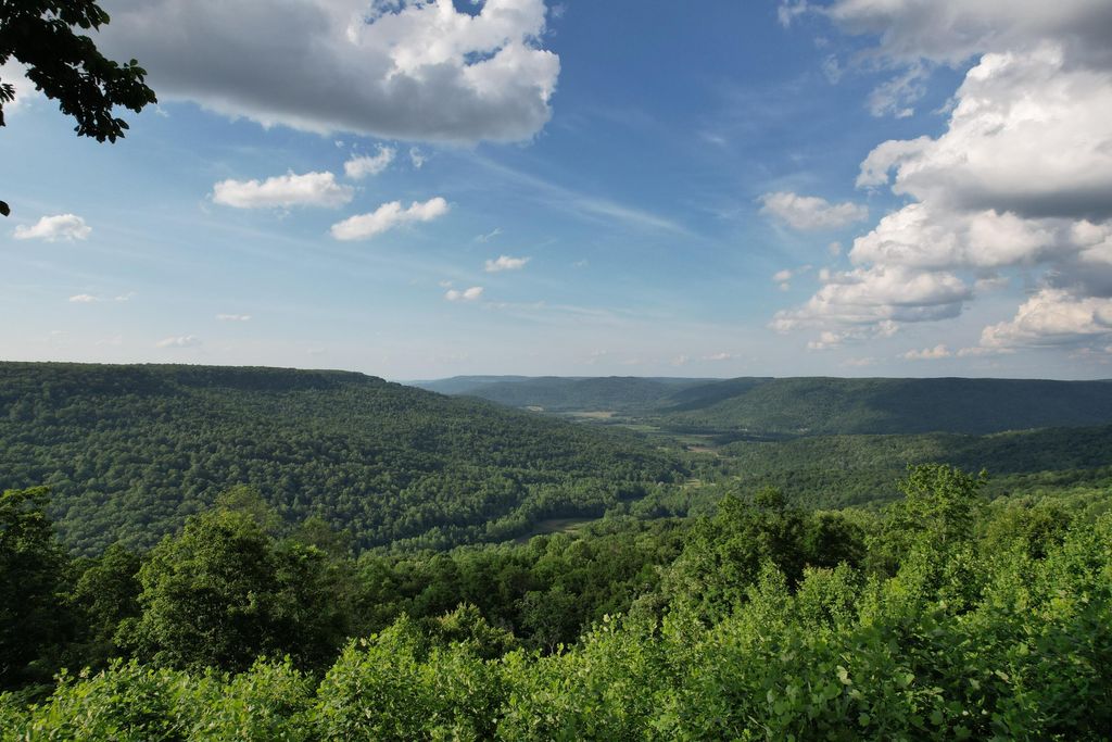 309 Blackberry Road, Beersheba Springs, TN 37305