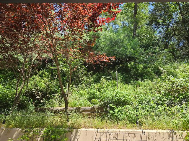 2911 Clay St, Placerville, CA 95667