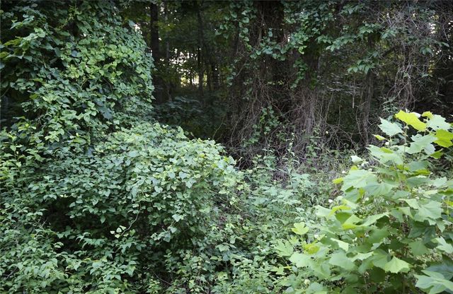 Lot 12 Thaxted Drive, Bella Vista, AR 72715