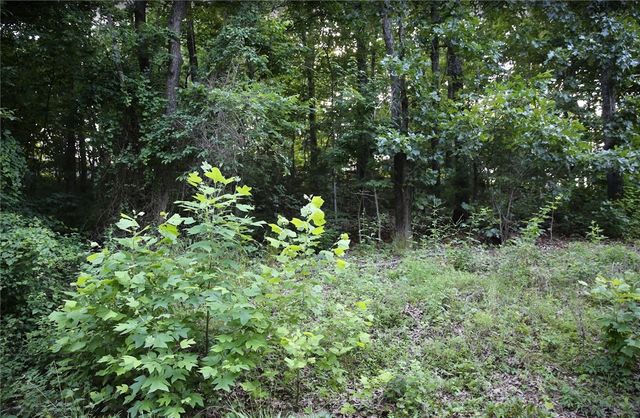Lot 12 Thaxted Drive, Bella Vista, AR 72715