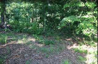 Lot 12 Thaxted Drive, Bella Vista, AR 72715