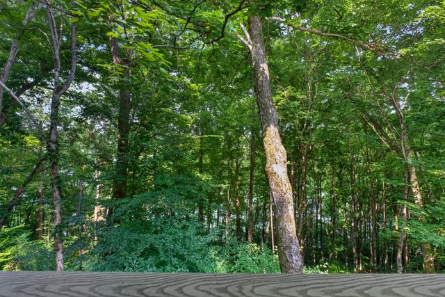1025 Lakeside Dr, Smithville, TN 37166