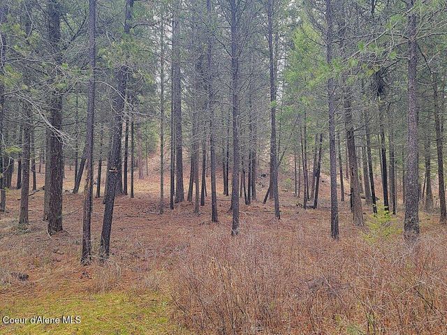 681 Hummingbird LN, Blanchard, ID 83804