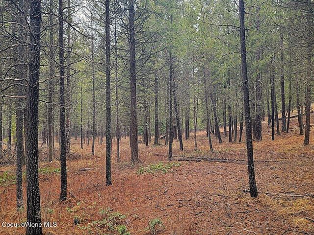 681 Hummingbird LN, Blanchard, ID 83804