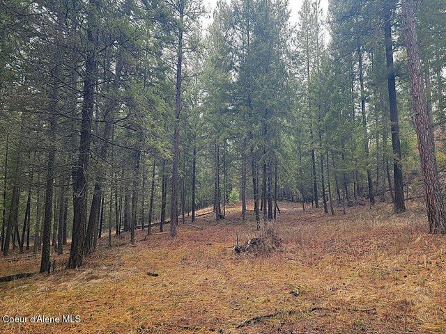 681 Hummingbird LN, Blanchard, ID 83804