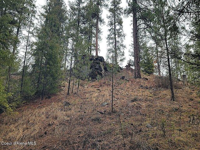 681 Hummingbird LN, Blanchard, ID 83804