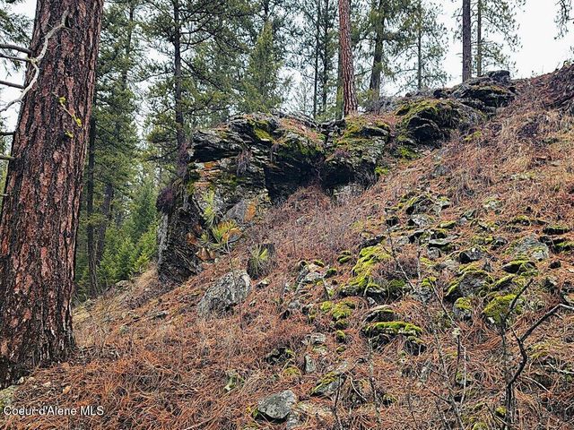 681 Hummingbird LN, Blanchard, ID 83804