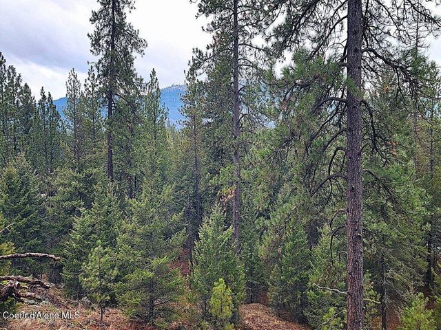 681 Hummingbird LN, Blanchard, ID 83804