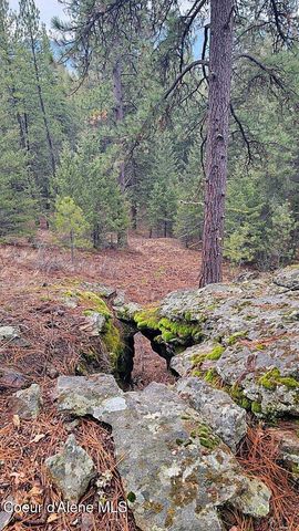 681 Hummingbird LN, Blanchard, ID 83804