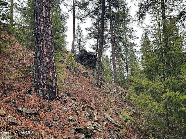 681 Hummingbird LN, Blanchard, ID 83804