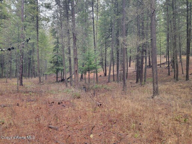 681 Hummingbird LN, Blanchard, ID 83804