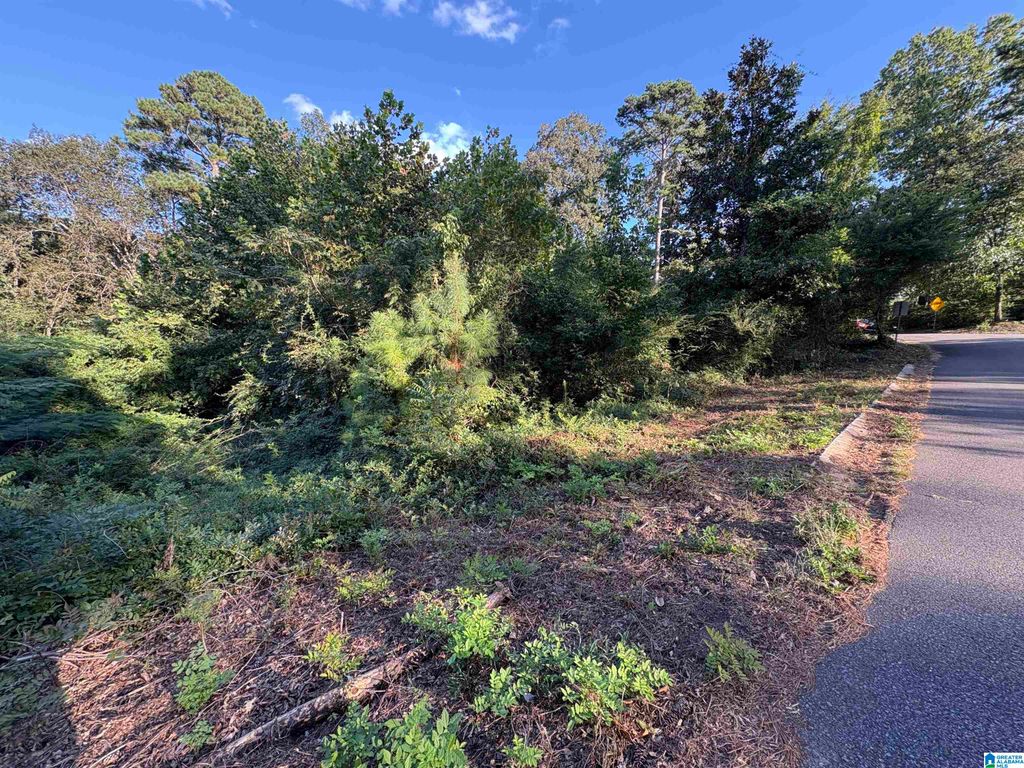 5385 PINECREST DRIVE, Mount Olive, AL 35117