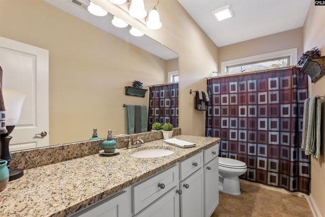 212 Renard Roux Court, Gilbert, SC 29054