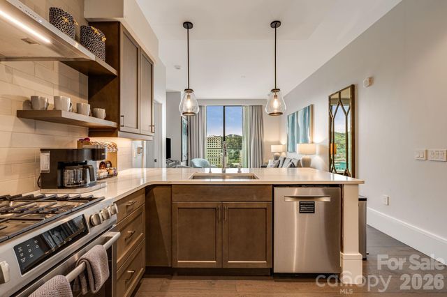 7 Patton Avenue 1005, Asheville, NC 28801