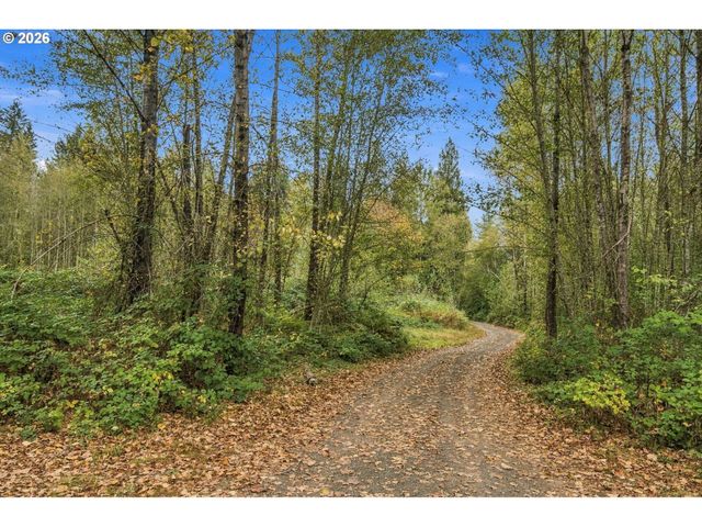 21803 Ne 394TH St, Amboy, WA 98601