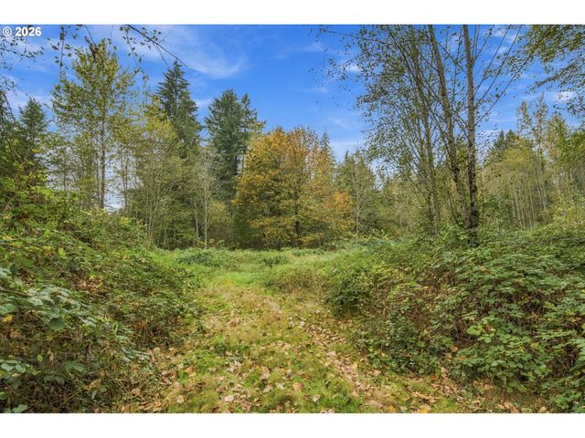 21803 Ne 394TH St, Amboy, WA 98601