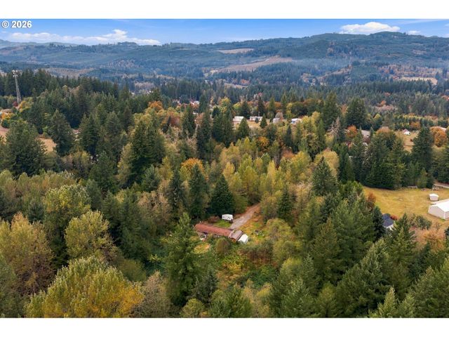 21803 Ne 394TH St, Amboy, WA 98601