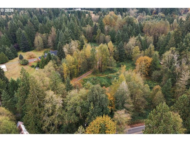 21803 Ne 394TH St, Amboy, WA 98601