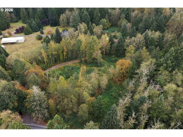 21803 Ne 394TH St, Amboy, WA 98601