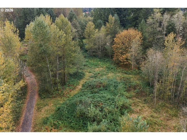 21803 Ne 394TH St, Amboy, WA 98601