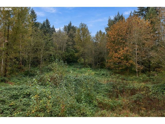 21803 Ne 394TH St, Amboy, WA 98601