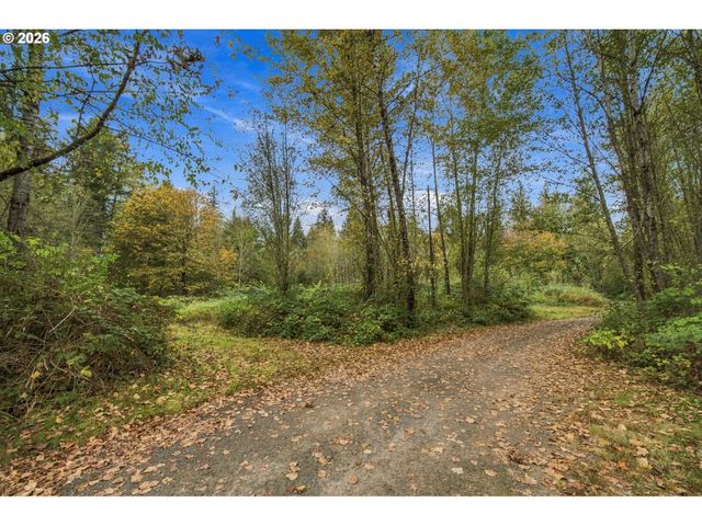 21803 Ne 394TH St, Amboy, WA 98601