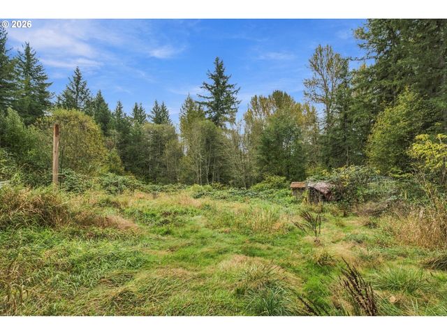 21803 Ne 394TH St, Amboy, WA 98601