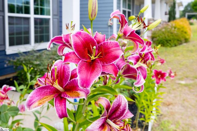 114 Magnolia Street, Reidville, SC 29338