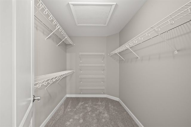 5036 Shoreview Drive, Coloma, MI 49038